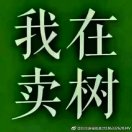找树网-'刘志'头像