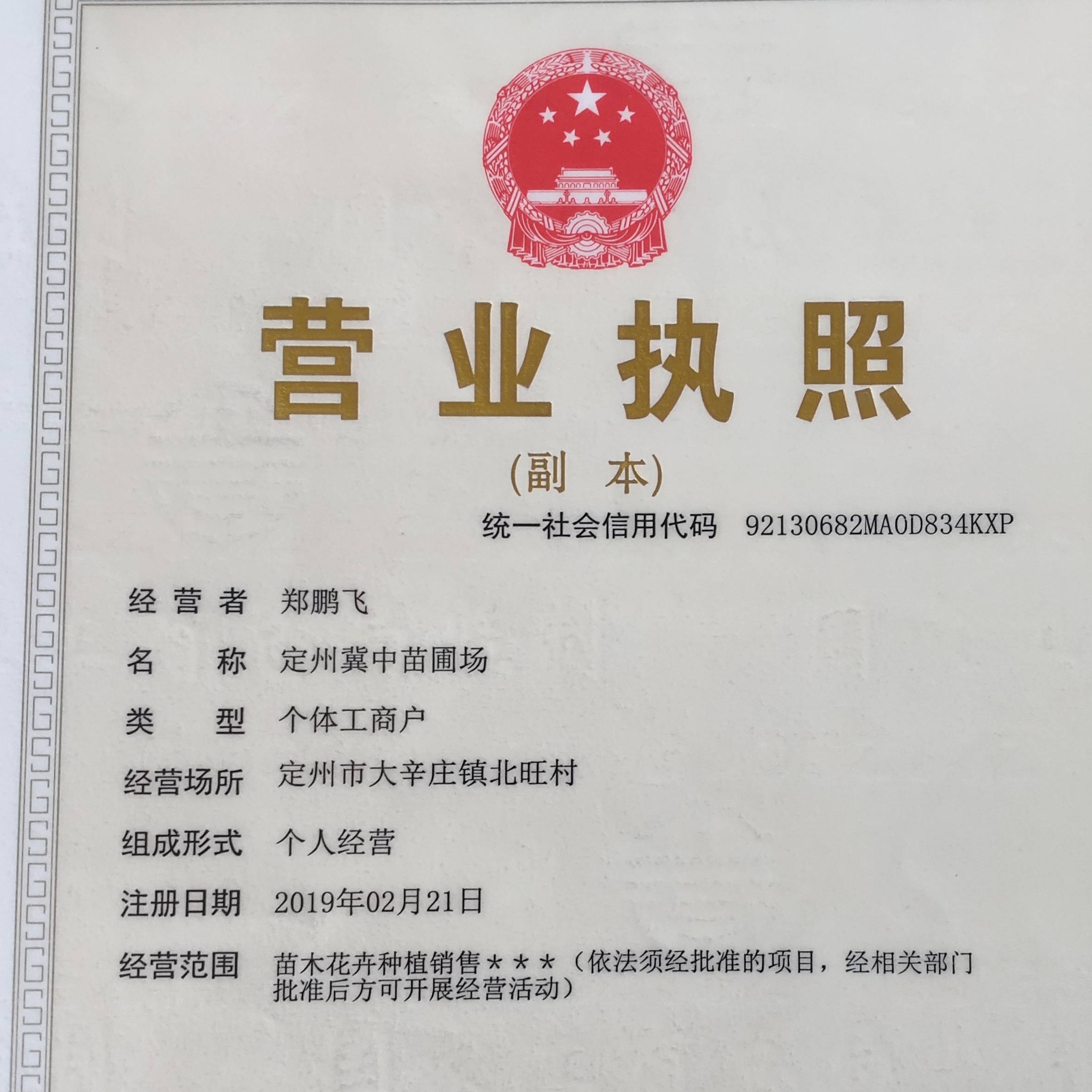 找树网-'冀中苗木郑鹏飞'头像