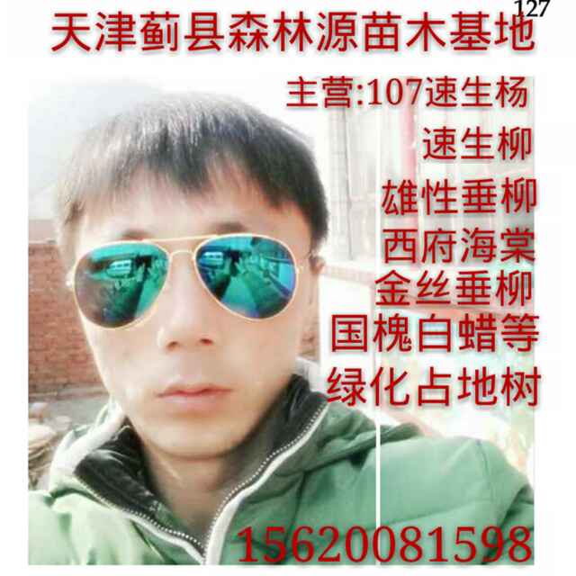 找树网-'天津蓟县森林源苗木基地大'头像