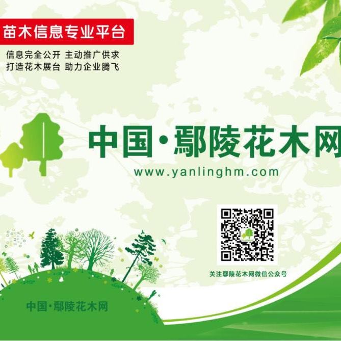 找树网-'许昌北国之春花木市场服务有限公司'头像