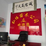 找树网-'山东惠民李宗磊'头像