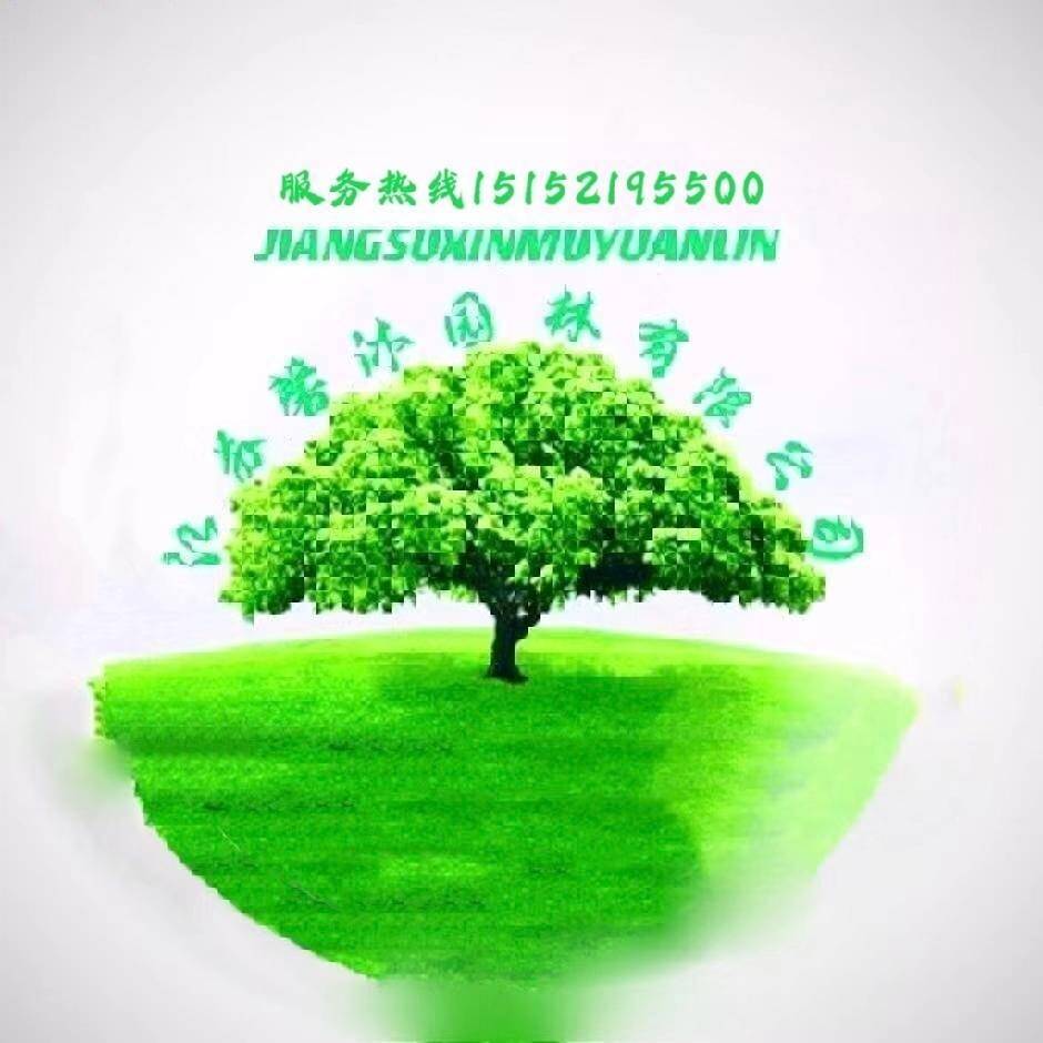 找树网-'江苏徐州馨源园林'头像