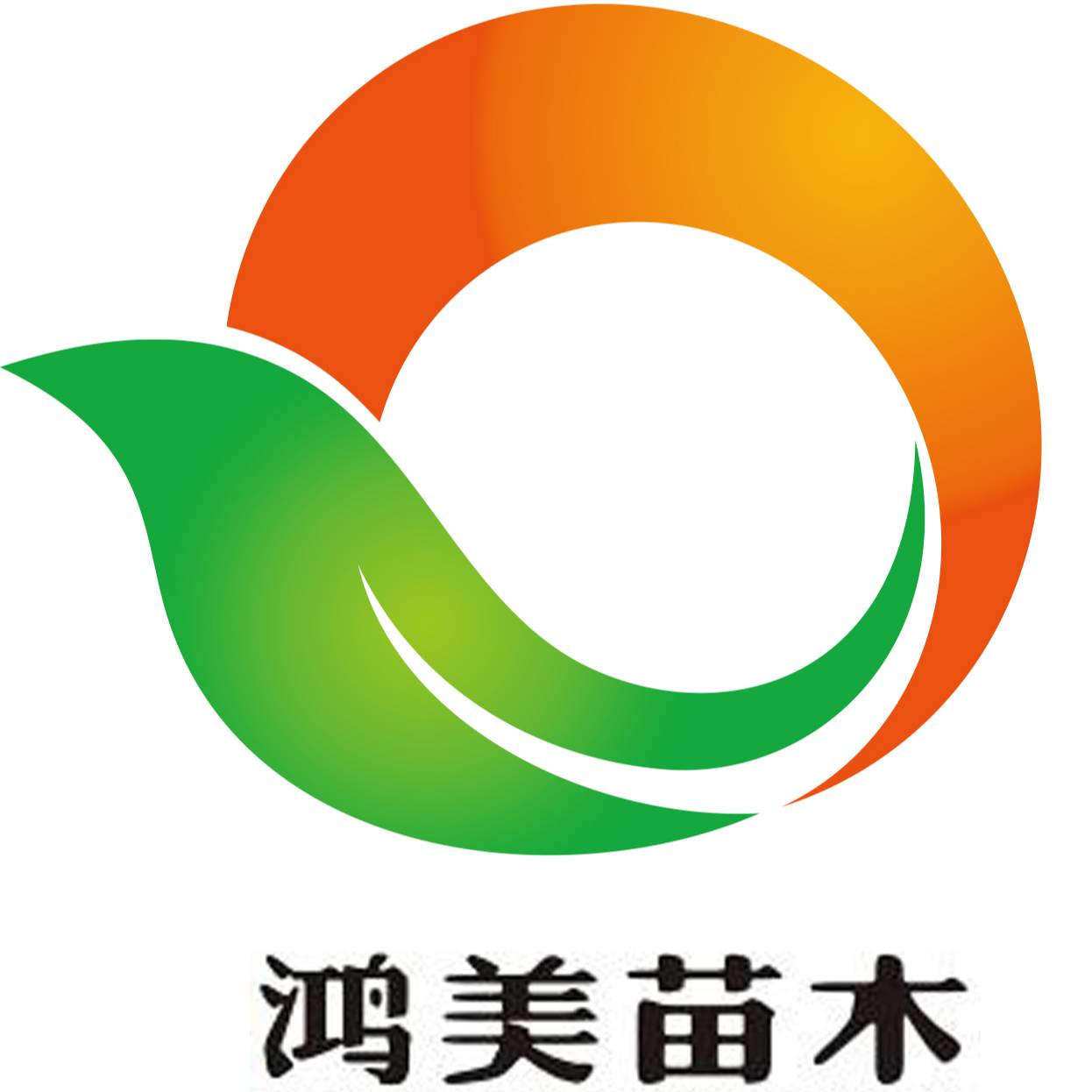 找树网-'长白山森工鸿美苗木有限公司'头像