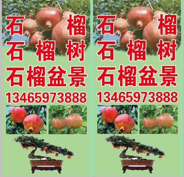 '枣庄冠世榴园苗木有限公司'头像
